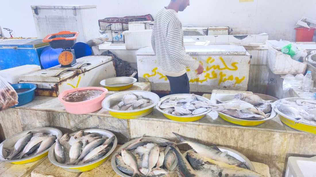 صور: رياح شديدة عصفت بصيد الجمعة.. شح المعروض رفع أسعار السمك بمرسى النقعة