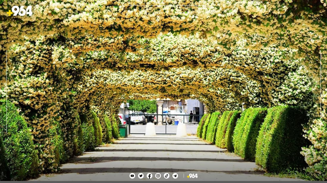 صور: منتزه “كل كند” وسط أربيل يتزين بأكثر من 9000 شجرة و 20 نوعاً من الأزهار