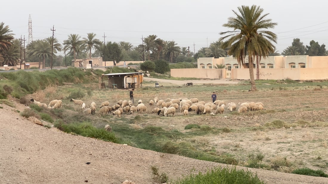 الكطيمة بلا ماء منذ 2003.. شبكة سبعينية متهالكة والأهالي تعودوا على 