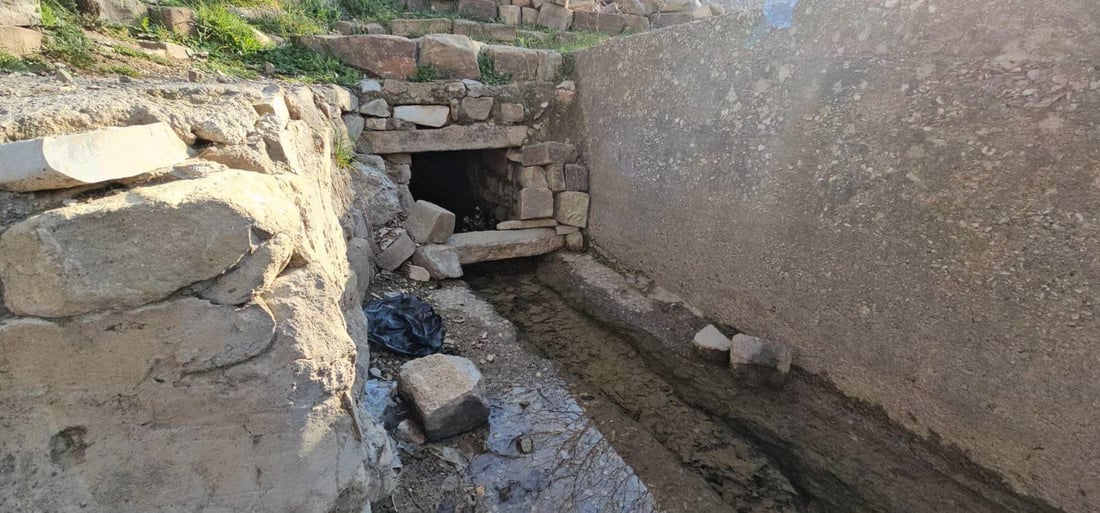 کانیاوە وەرزییەکانی پارکی هەواری شار بووژانەوە
