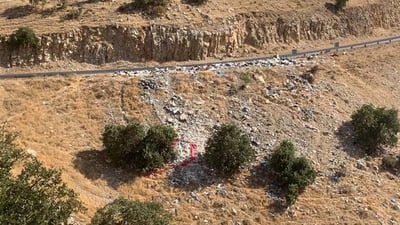 خۆڵ و خاشاک شاخی قەیوانی تەنیوە