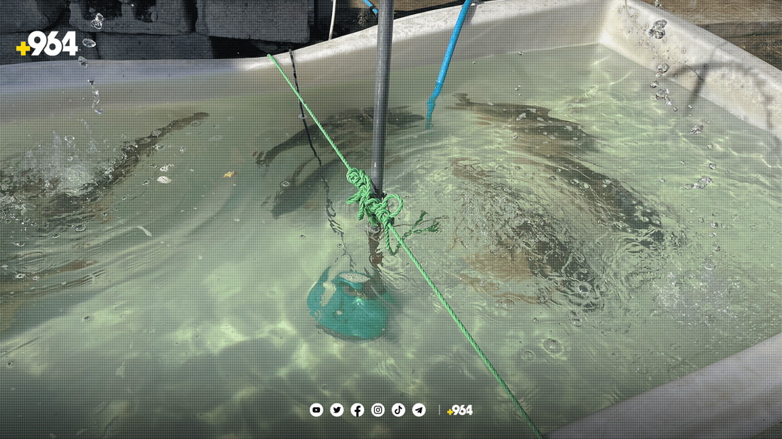 لە پارێزگاکانی عێراق ماسی کوردستان رەواجی زۆرە