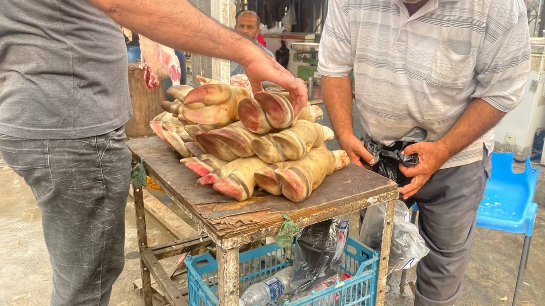 هذا ما يحدث قرب صورة الصدرين في “قطاع 18”.. وهناك من “يحميهم”! (صور)