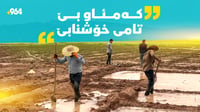 سەرەڕای کەم ئاوی جوتیارانی باتاس برنجی خۆیان چاندووە