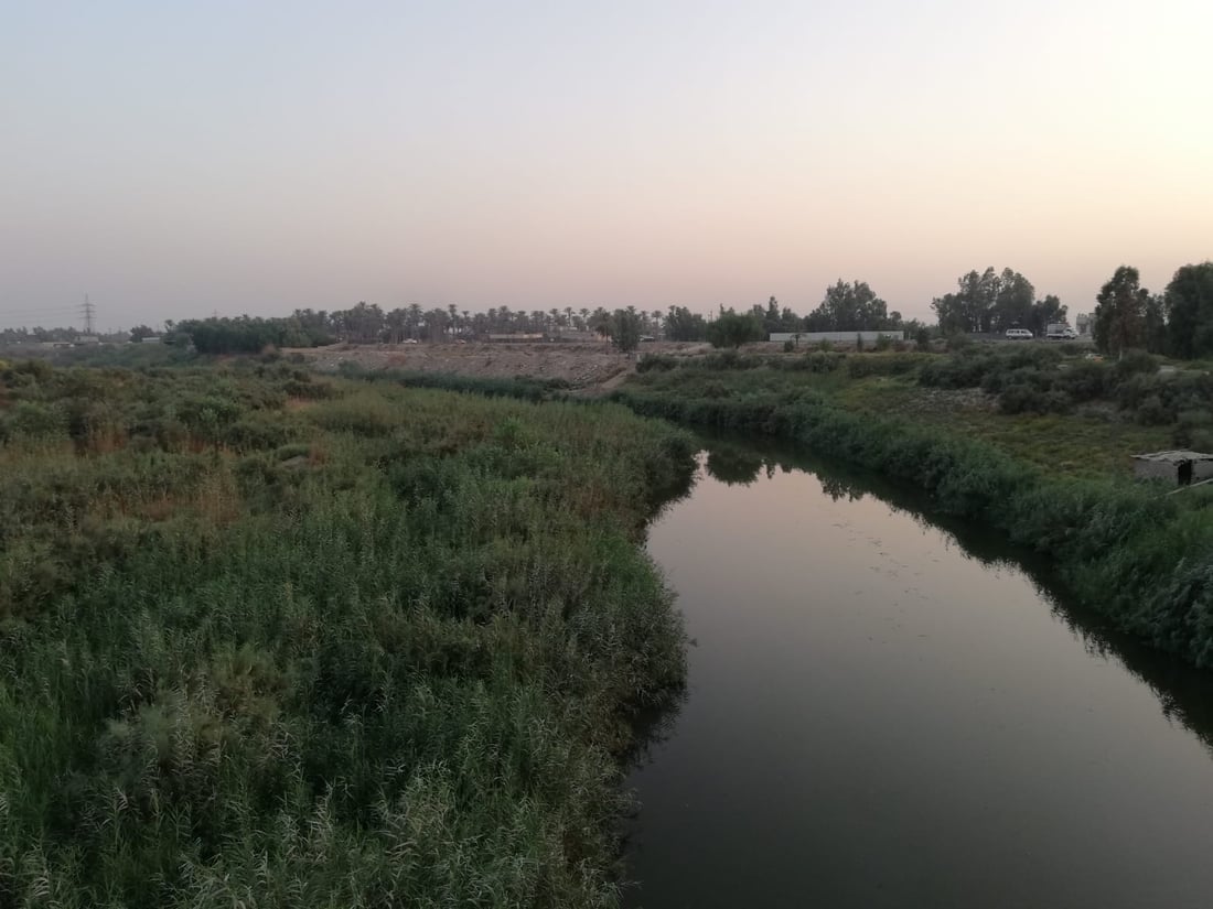 يجمع الخنازير والثعابين والعقارب.. صور من مبزل الولداية “المقلق” شرقي بغداد