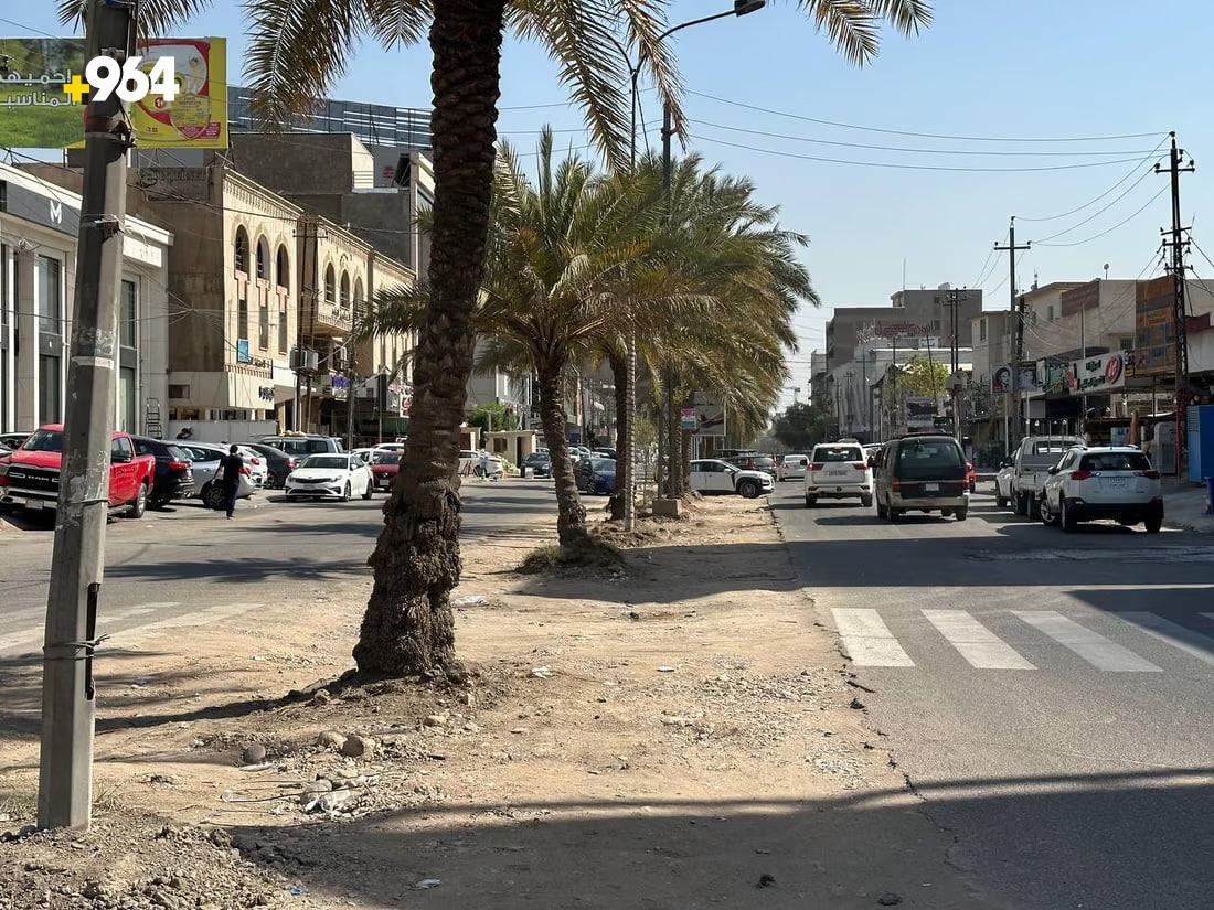 964mediaصورة من منصة (شبكة): 