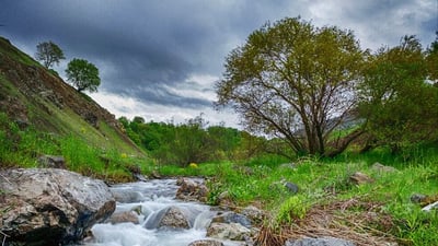 یونسكۆ داواى كردووه‌‌ شارباژێر وه‌كو پاڕك ئینجا به‌ “جیۆپاڕك” بناسێندرێت