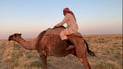 Camel herders in Rabia move to the desert edge as summer forage runs out