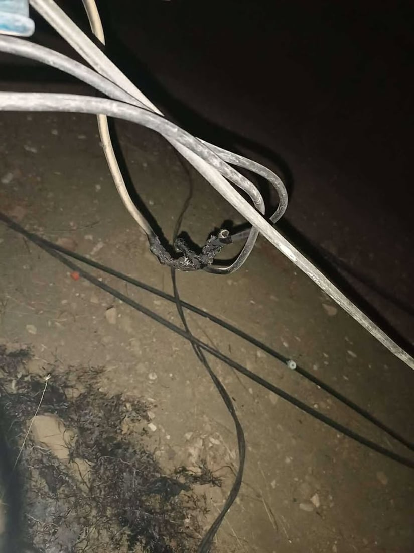 شۆرتی کارەبا زیاتر لە 1000 دۆنم پوش و پاوان و دارستانی لە شارباژێر سووتاند