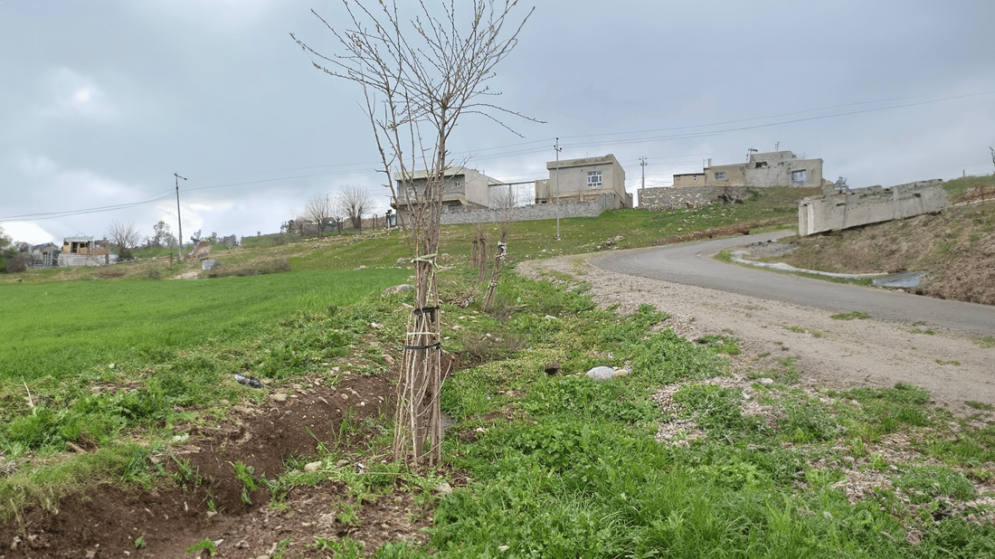  دوو گەنج بە خۆبەخشى رێگاى گوندەکەیان سەوز دەکەن