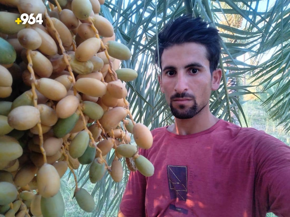 من كل مدينة نخلة نادرة.. بستان عمر الزوبعي يزرع 8 أصناف فقط ويقطف مبكراً (صور)