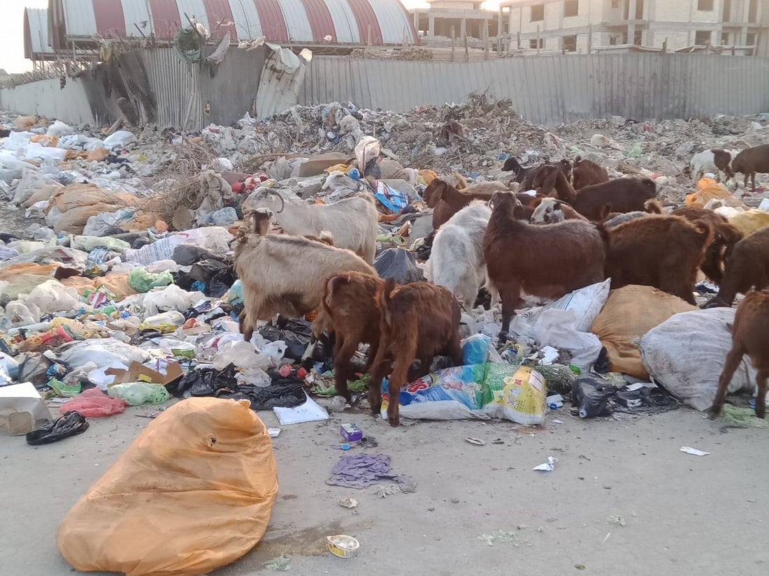 صور: استغاثة من محيط “المقبرة المقرفة” في بغداد الجديدة