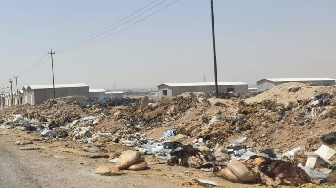 مەیدانی ئاژەڵان لە هەولێر پاککرایەوە