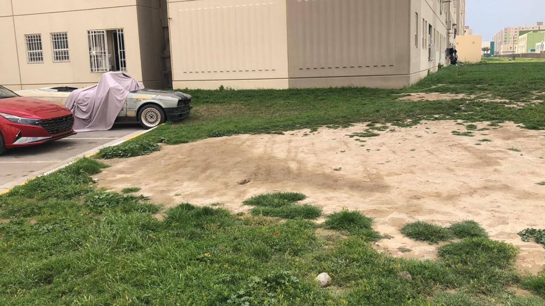 صور: سكان بسماية يعرضون 50 دولاراً مقابل عودة “هانوا”.. لم نجن سوى “بند القمامة”