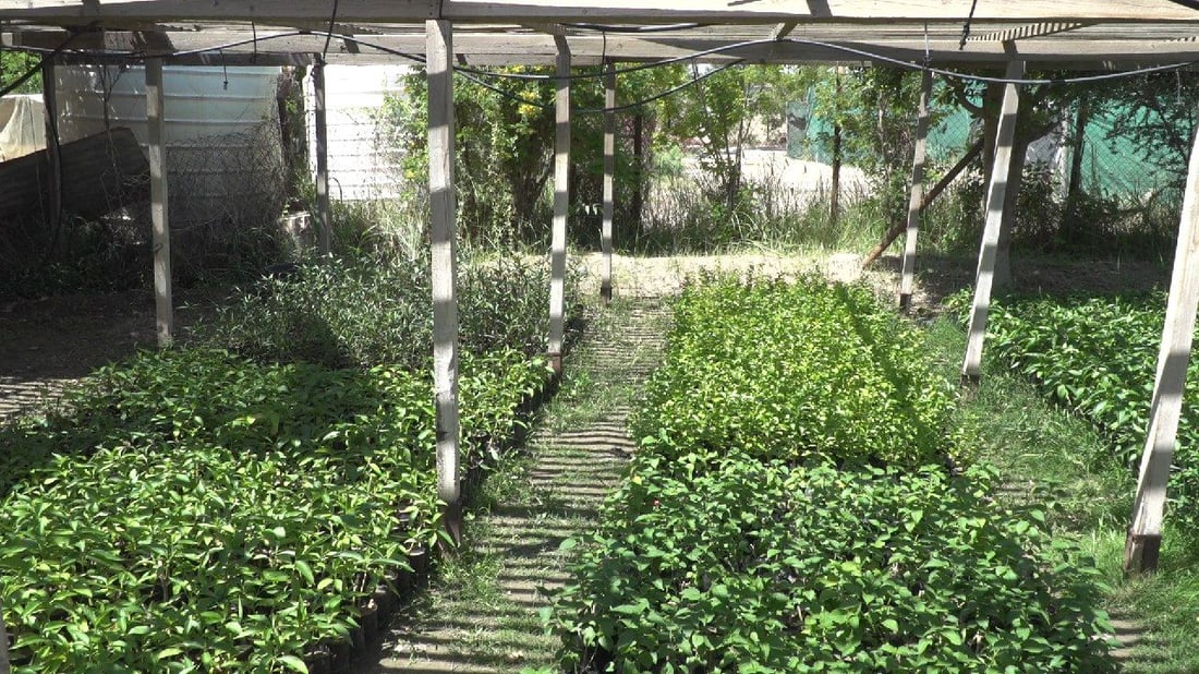 البلدية تقدم عرضاً لسكان بابل: جولة في “الفردوس” من أجل مدينة خضراء (صور)