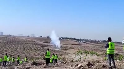 سییەکانى هەولێر کەوتنە کار؛ نیو ملیۆن زەیتوون چێندرا