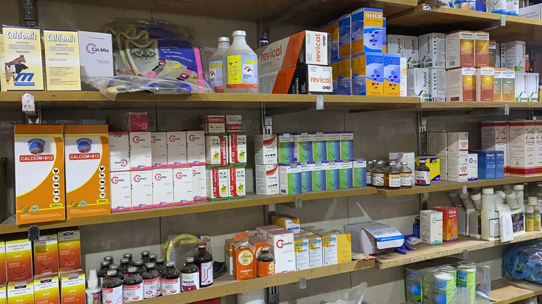 بالصور: حيوانات أليفة في المنازل تنعش العيادات البيطرية بالناصرية