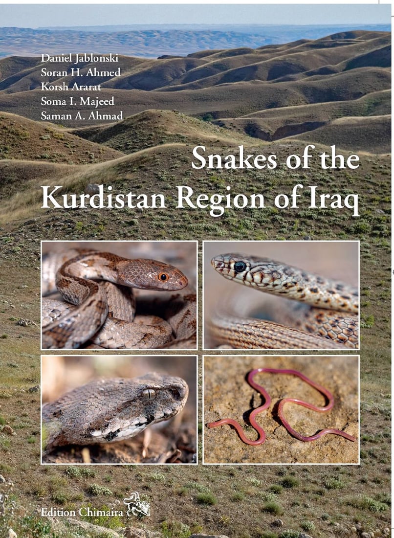 “ره‌شمار”ه‌ تێكئاڵاوه‌كان عاشق نین بەڵکو دوو مارى نێره‌ن و شه‌ڕ ده‌كه‌ن