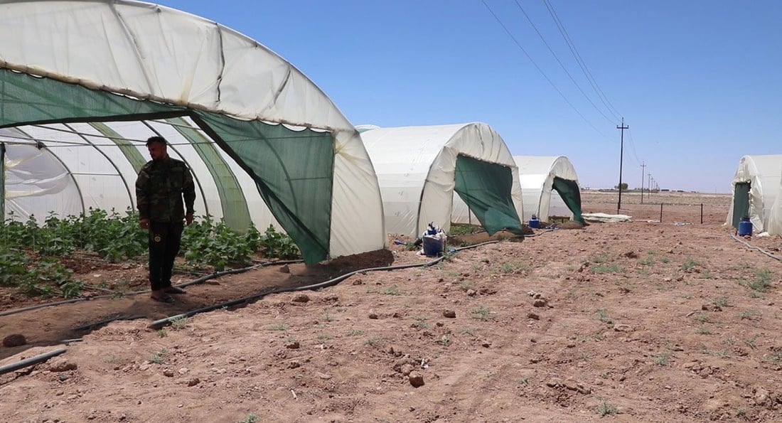 خانووە پلاستیکییە کشتوکاڵییەکانی بازیان لە زیادبوونێکی خێرادان