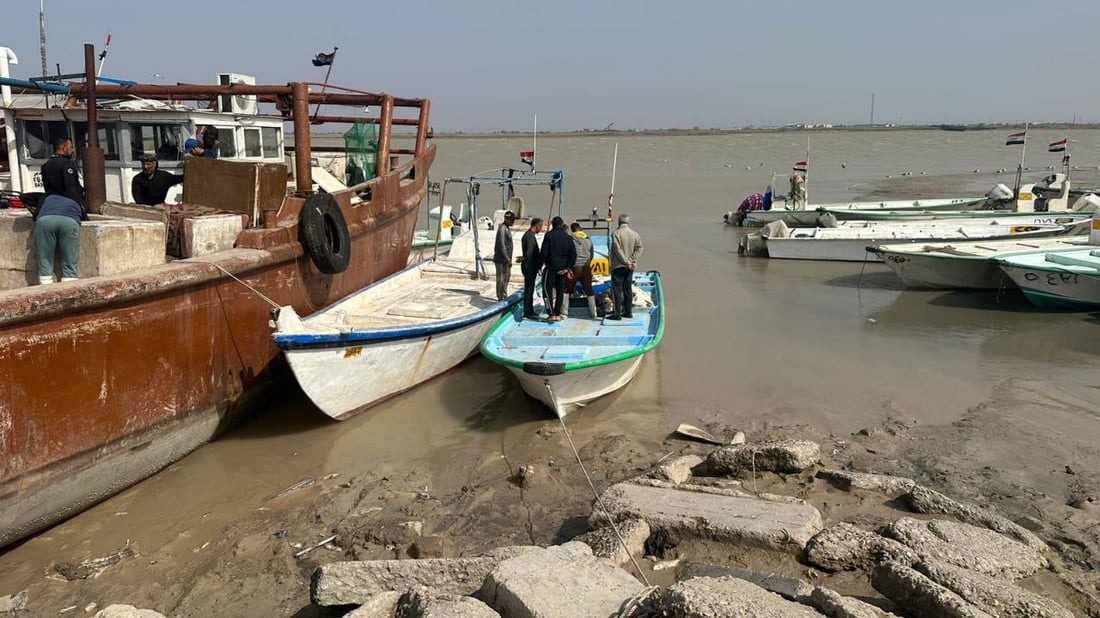 صور: أسراب الصبور وصلت إلى العراق مع دفء البحر والبياح صار أرخص.. هذه أسعار 8 أصناف