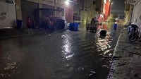 أمطار البحر المتوسط أنقذت الأهوار.. والناصرية غرقت مرت...