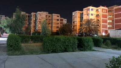 صور “مضيئة” من مجمع الصالحية: الساحات باتت خضراء.. ومجاناً