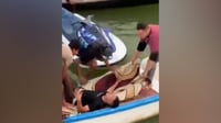 فيديو: إنقاذ شاب رمى نفسه من أعلى الجسر الإيطالي في الب...