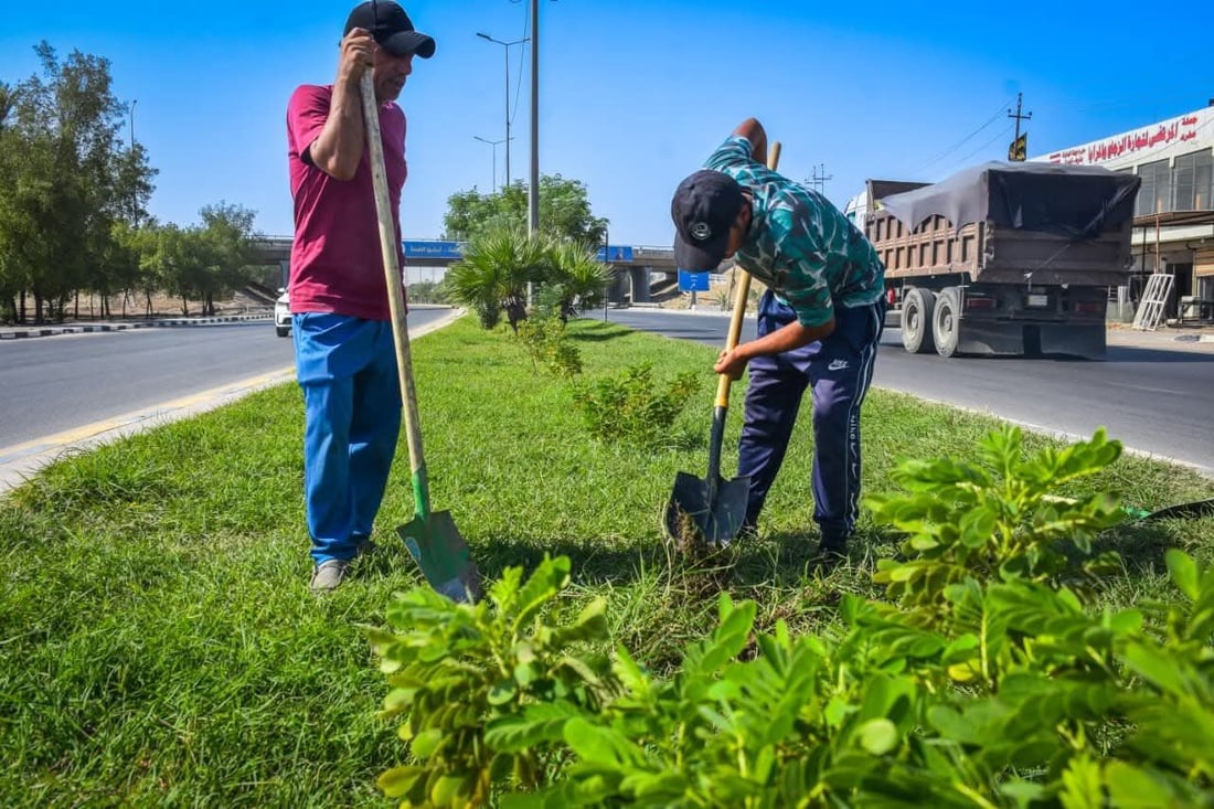 صور مبهرة من تشجير مقتربات مجسر الجمجمة في الحلة