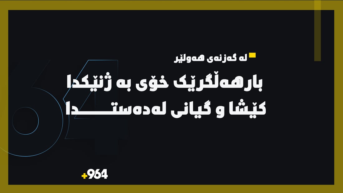 بارهەڵگرێک خۆی بە ژنێکدا کێشا و کوشتی