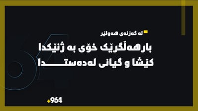 بارهەڵگرێک خۆی بە ژنێکدا کێشا و کوشتی