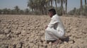 جمعية الفلاحين معروضة للبيع في المزاد بسبب خطأ مع قوات التحالف عام 2003!