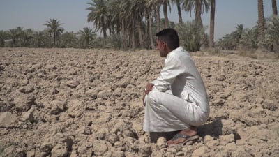 جمعية الفلاحين معروضة للبيع في المزاد بسبب خطأ مع قوات التحالف عام 2003!