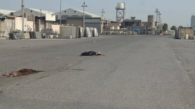 24 شوێن دیاریکراوە کەچی پاشماوەی ئاژەڵی قوربانی لە ناوەڕاستی شەقام فڕێدەدەن