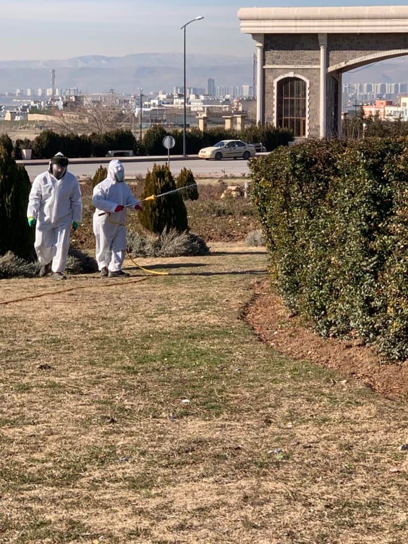 هەواری شار دژ بە گەرای کرمی حەفار دەرمانڕێژی پارکەکەی دەکات