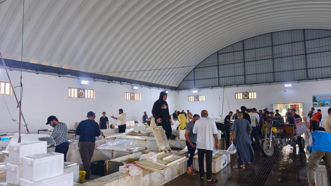 صور من مزاد الفاو الصباحي: زوج الصبور 150 ألف وإن لم يعجبك فالزبيدي بـ40 ألف دينار