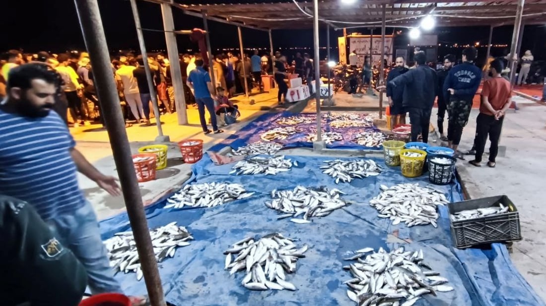 أهل بغداد لا يغادرون البصرة دون زيارة مزاد السمك.. الصبور البحري يجذب الجميع