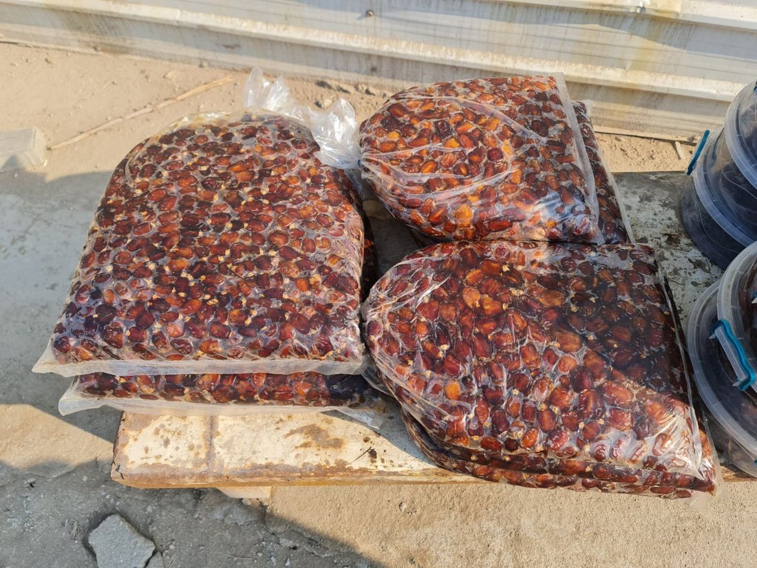 صور: حلانات التمر على طول الطريق بين السماوة والرميثة.. الشكّر أولاً