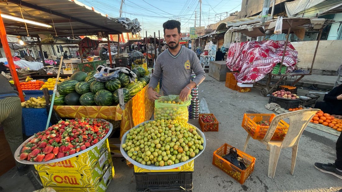 صور: أول قطفة “نبق تفاحي” وصلت من مزارع شمال البصرة إلى أسواقها