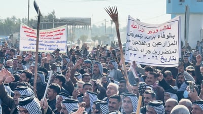 فيديو: فلاحو النجف والديوانية والمثنى يمنحون الحكومة أسبوعاً لتنفيذ مطالبهم