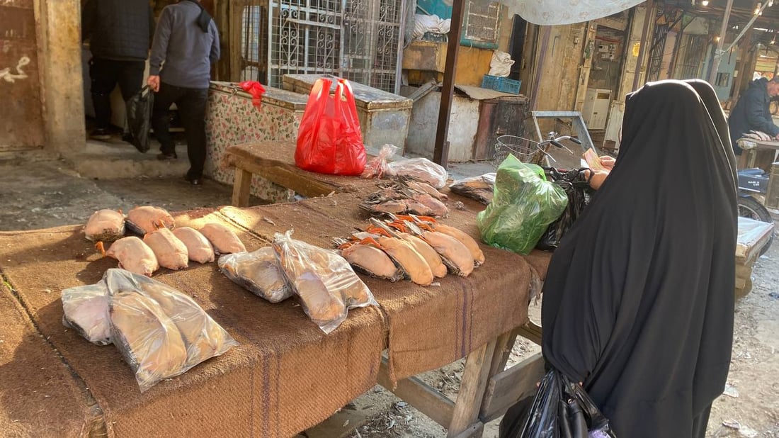 صور من سوق الطيور في العمارة: جفاف الأهوار رفع الأسعار إلى الضعف