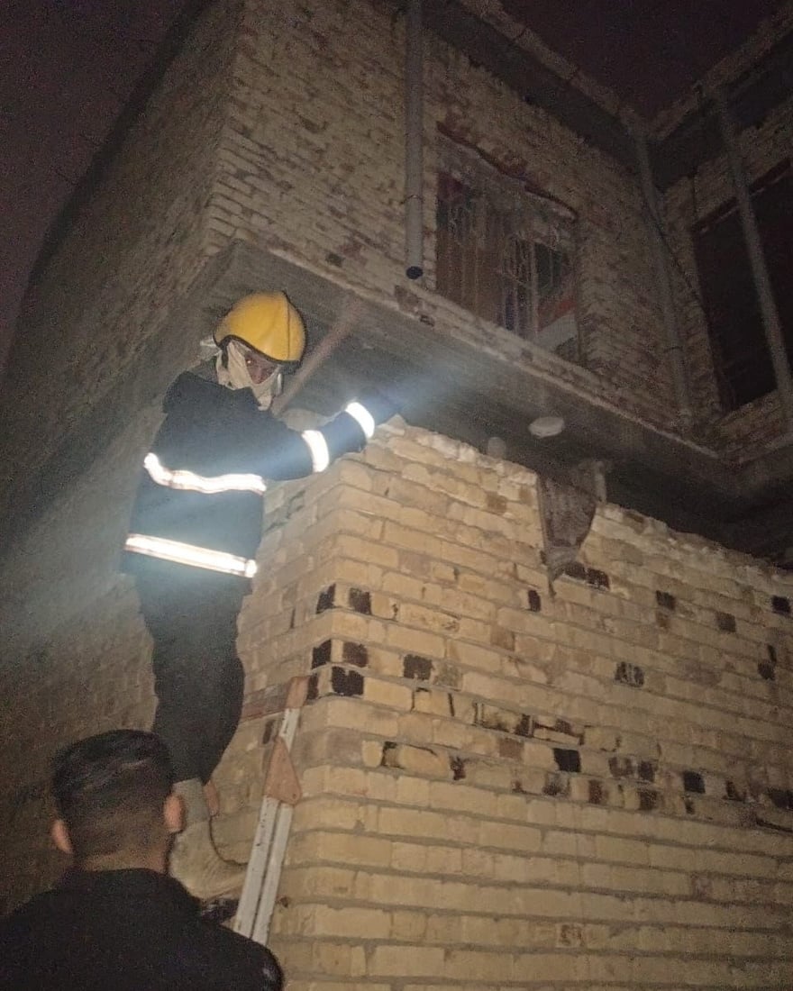 صور: كلب مسعور يقتحم منزل عائلة كربلائية ويعض رب الأسرة