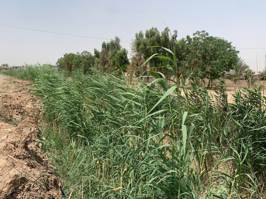 صور: نادي الضلوعية يعلق نشاطاته الرياضية بسبب جفاف أرضية الملعب