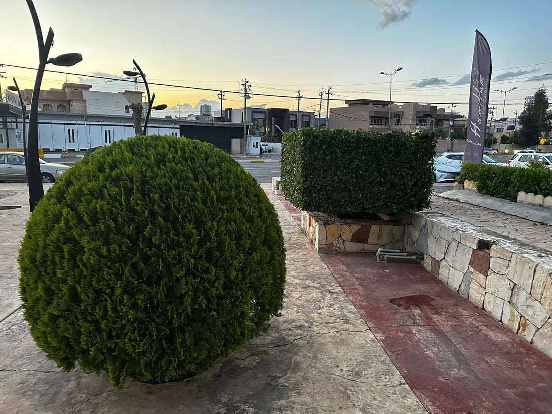 ئەو دار و درەختانەی شێوەی ئاژەڵ و باڵندە دەدەن رێکدەخرێنەوە