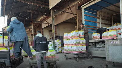 فرۆشی عەلوەی سلێمانی نزیکەی دوو ئەوەندە زیادی کردووە