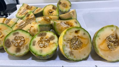 دوو تۆن و نیو کاڵەکى خراپبوو دەستى بەسەرداگیرا