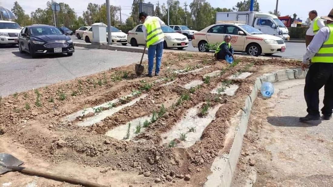   گوڵ و نەمامەكانی شەقامەكانی هەولێر هەڵپاچران