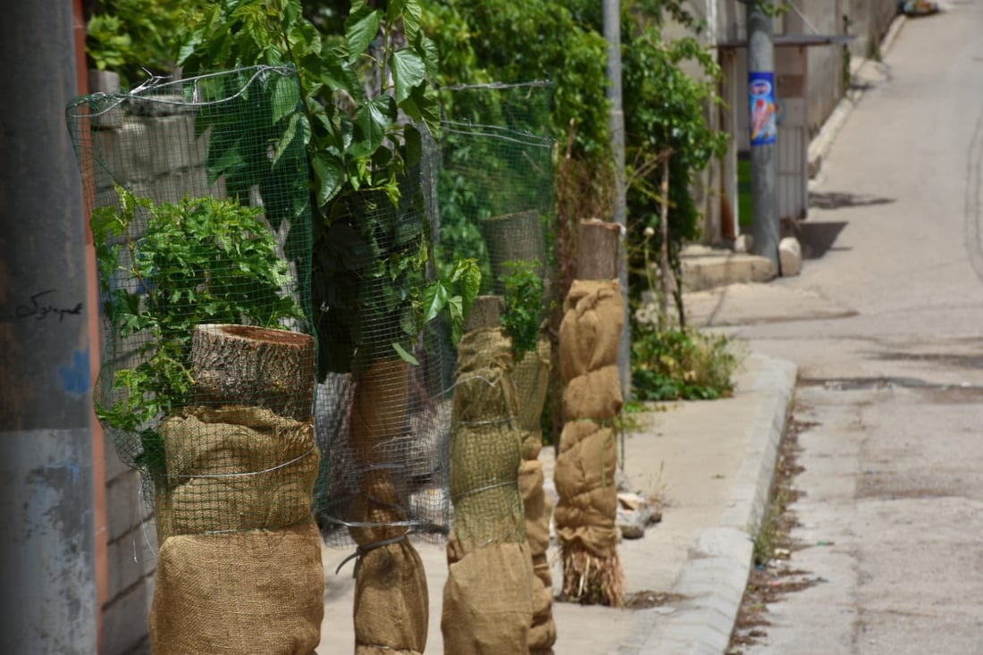 له‌ هه‌ڵه‌بجه‌ پیری ژینگه‌دۆستان رێزلێنانى پێبه‌خشرا