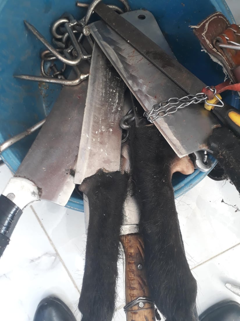 سێ دوکانی گۆشتفرۆشتن لە ناحیەی شۆڕش داخران