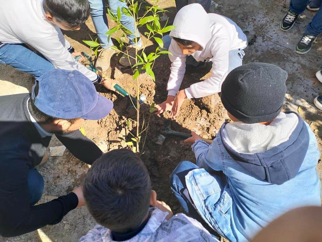 صور: متطوعون ينظمون حملة لتشجير مدارس المثنى بالتعاون مع اليونيسف