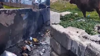  سیاجی گۆڕستانی کۆنی دەربەندیخان نوێ دەکرێتەوە